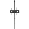 NewStar Floor-to-Ceiling Mount for 37"-65" Screen - Black - Image 2